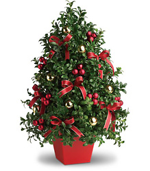 Deck the Halls Tree from Clermont Florist & Wine Shop, flower shop in Clermont